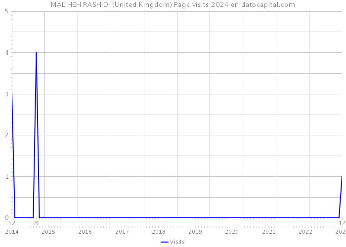 MALIHEH RASHIDI (United Kingdom) Page visits 2024 