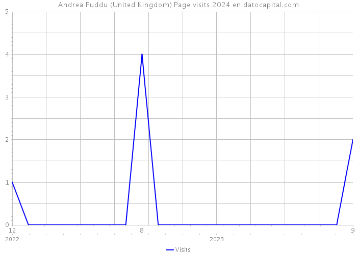 Andrea Puddu (United Kingdom) Page visits 2024 