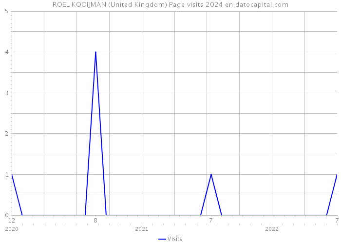 ROEL KOOIJMAN (United Kingdom) Page visits 2024 