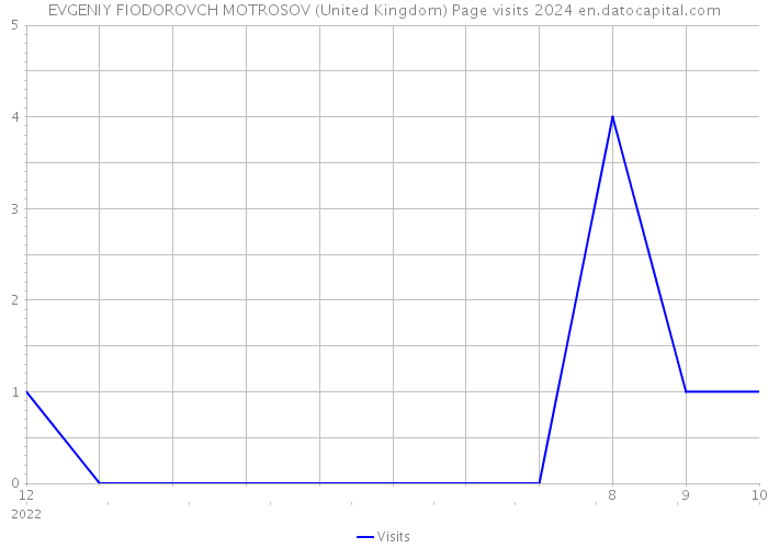 EVGENIY FIODOROVCH MOTROSOV (United Kingdom) Page visits 2024 