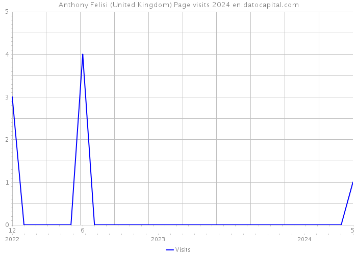 Anthony Felisi (United Kingdom) Page visits 2024 