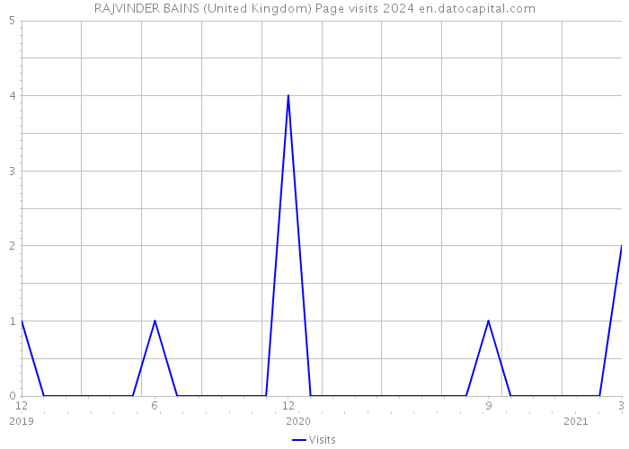 RAJVINDER BAINS (United Kingdom) Page visits 2024 