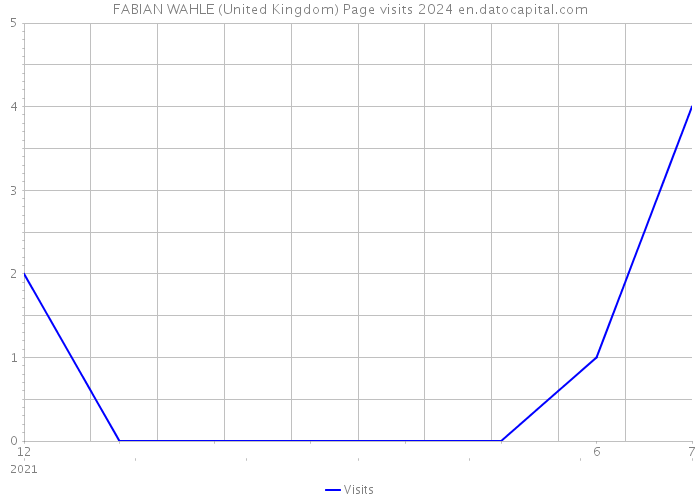 FABIAN WAHLE (United Kingdom) Page visits 2024 