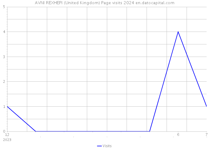 AVNI REXHEPI (United Kingdom) Page visits 2024 