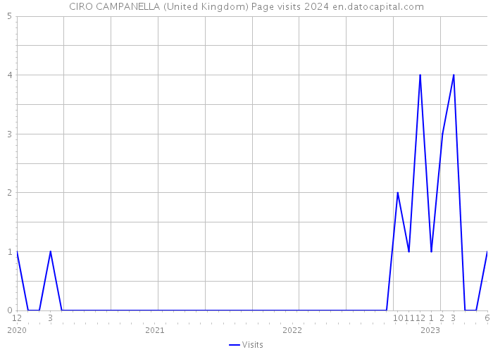 CIRO CAMPANELLA (United Kingdom) Page visits 2024 