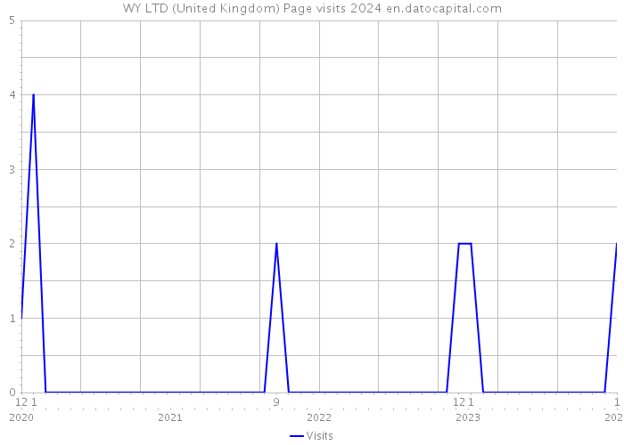 WY LTD (United Kingdom) Page visits 2024 