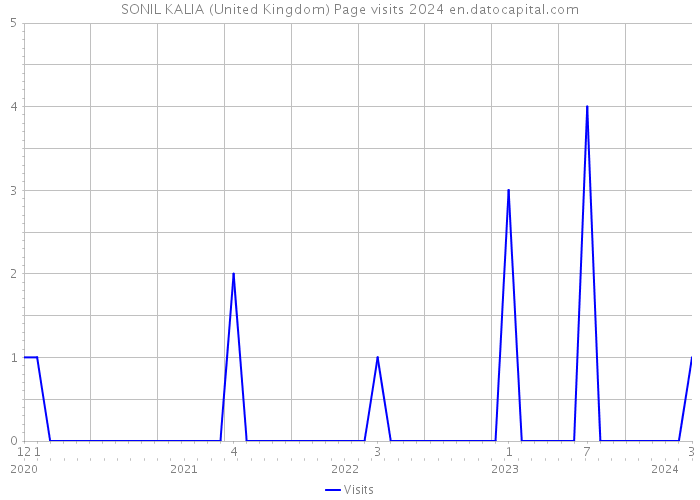 SONIL KALIA (United Kingdom) Page visits 2024 