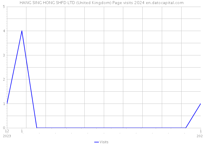 HANG SING HONG SHFD LTD (United Kingdom) Page visits 2024 