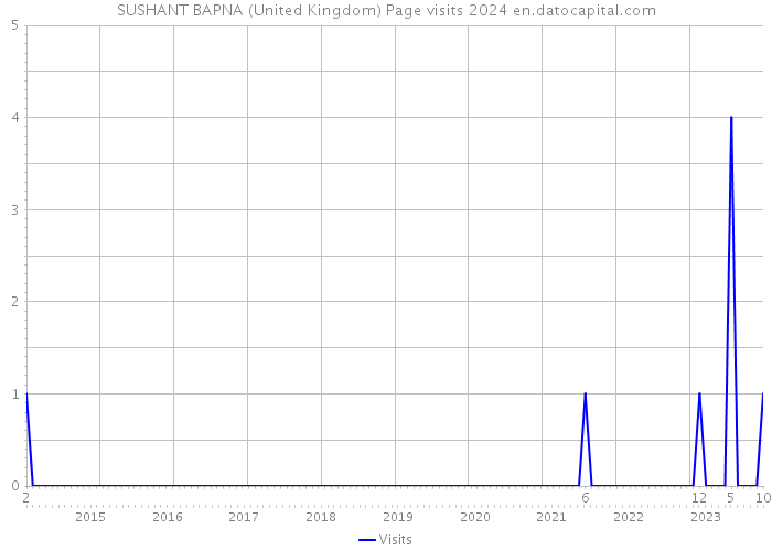 SUSHANT BAPNA (United Kingdom) Page visits 2024 