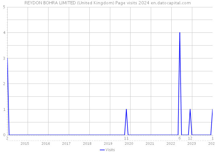 REYDON BOHRA LIMITED (United Kingdom) Page visits 2024 