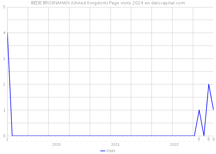 BEDE BROSNAHAN (United Kingdom) Page visits 2024 