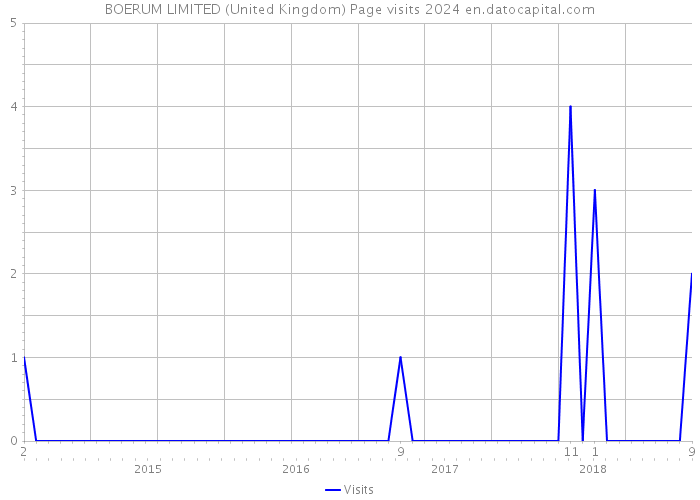 BOERUM LIMITED (United Kingdom) Page visits 2024 