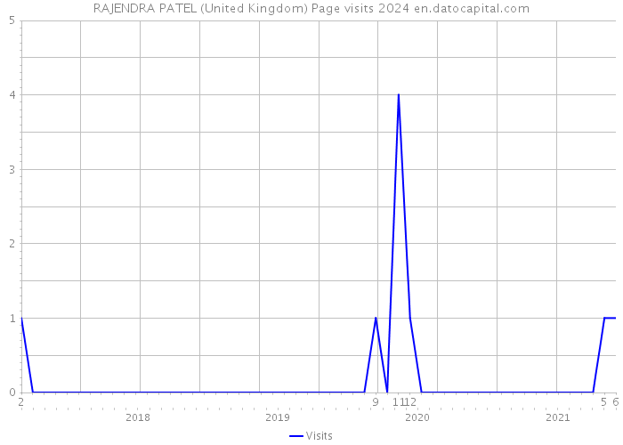 RAJENDRA PATEL (United Kingdom) Page visits 2024 