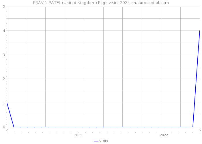 PRAVIN PATEL (United Kingdom) Page visits 2024 