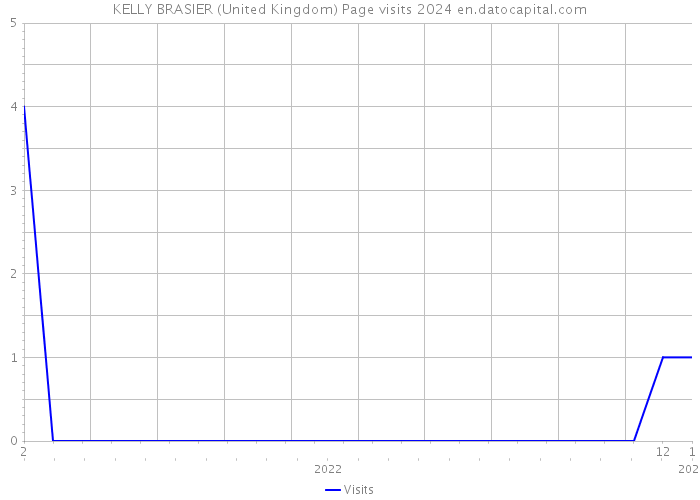 KELLY BRASIER (United Kingdom) Page visits 2024 
