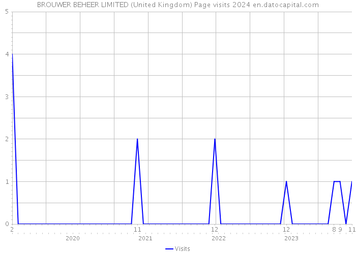 BROUWER BEHEER LIMITED (United Kingdom) Page visits 2024 