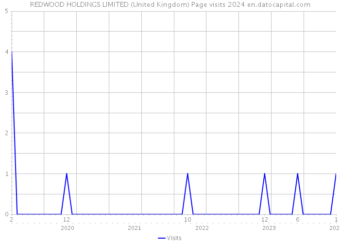 REDWOOD HOLDINGS LIMITED (United Kingdom) Page visits 2024 