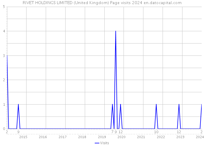RIVET HOLDINGS LIMITED (United Kingdom) Page visits 2024 