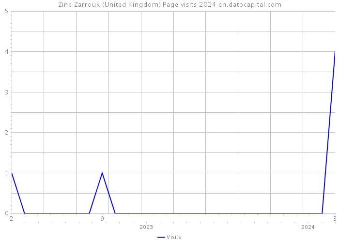 Zine Zarrouk (United Kingdom) Page visits 2024 