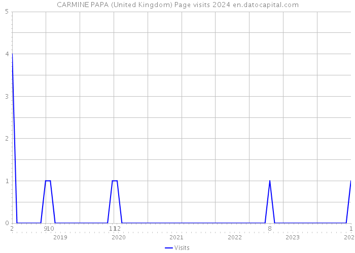 CARMINE PAPA (United Kingdom) Page visits 2024 