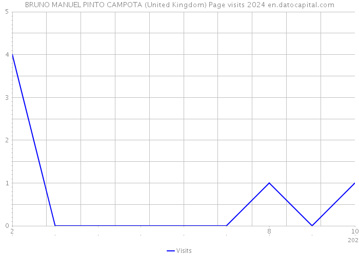 BRUNO MANUEL PINTO CAMPOTA (United Kingdom) Page visits 2024 