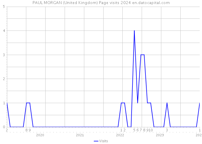 PAUL MORGAN (United Kingdom) Page visits 2024 