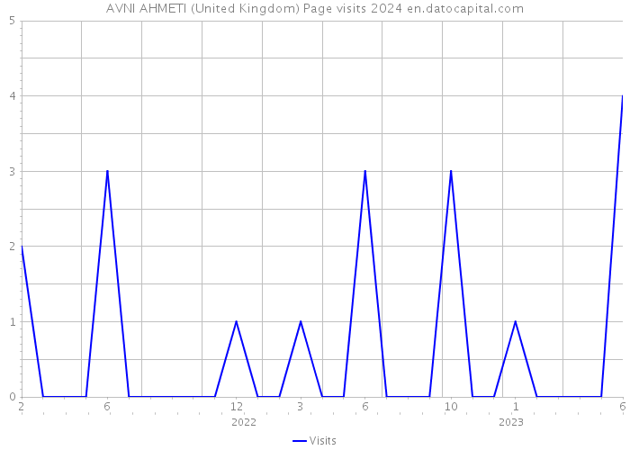 AVNI AHMETI (United Kingdom) Page visits 2024 