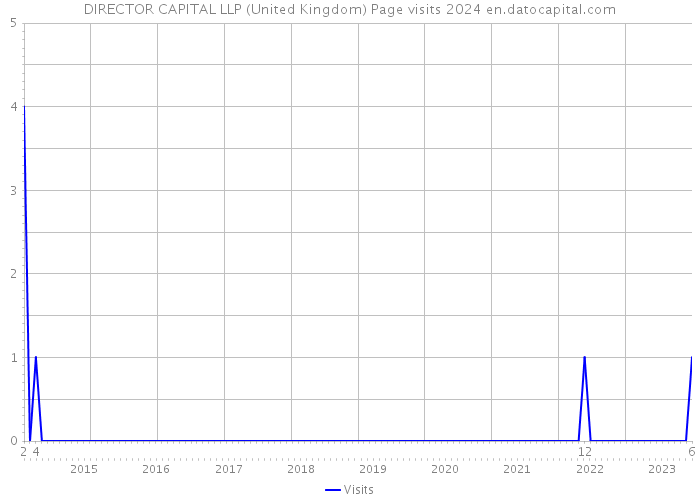 DIRECTOR CAPITAL LLP (United Kingdom) Page visits 2024 