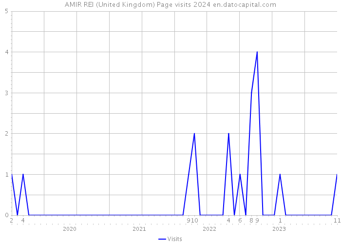 AMIR REI (United Kingdom) Page visits 2024 