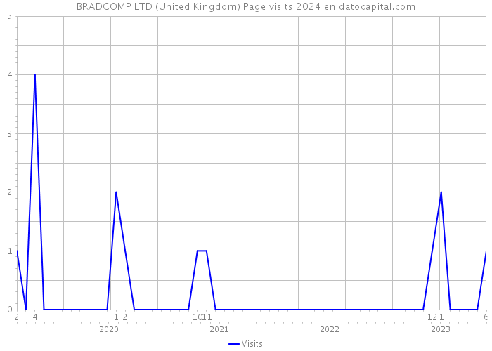 BRADCOMP LTD (United Kingdom) Page visits 2024 