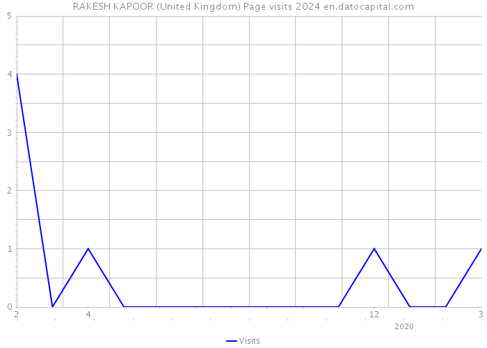 RAKESH KAPOOR (United Kingdom) Page visits 2024 