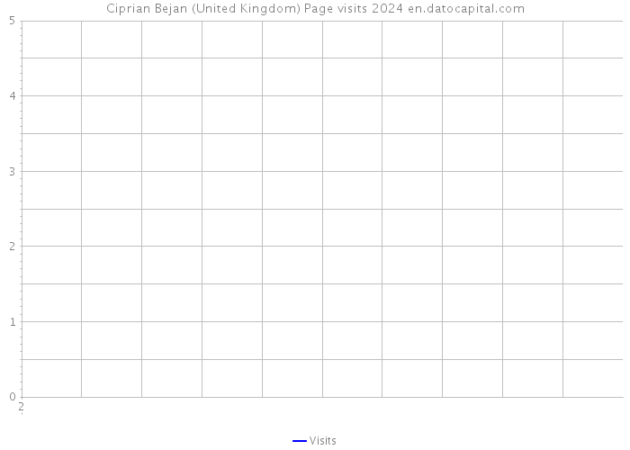 Ciprian Bejan (United Kingdom) Page visits 2024 