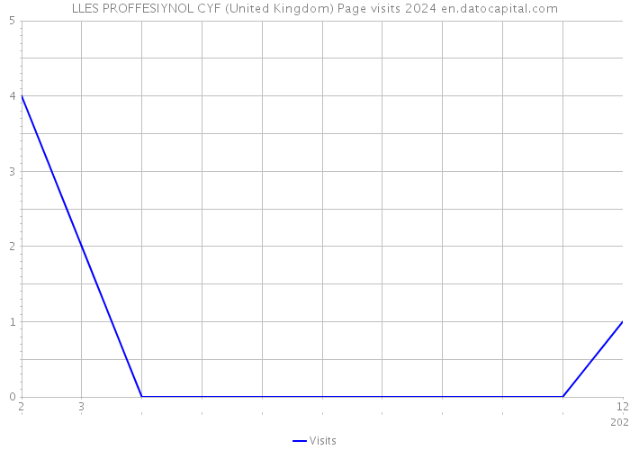 LLES PROFFESIYNOL CYF (United Kingdom) Page visits 2024 