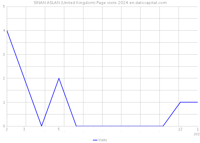 SINAN ASLAN (United Kingdom) Page visits 2024 