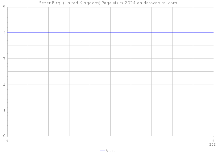Sezer Birgi (United Kingdom) Page visits 2024 