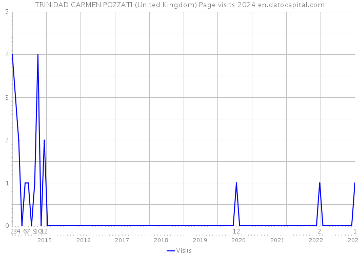TRINIDAD CARMEN POZZATI (United Kingdom) Page visits 2024 