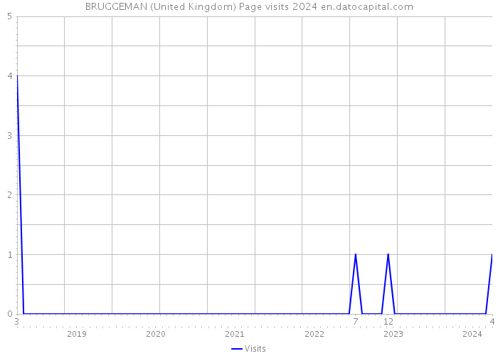 BRUGGEMAN (United Kingdom) Page visits 2024 
