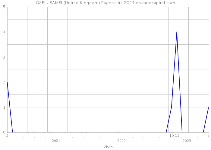 GABIN BAMBI (United Kingdom) Page visits 2024 