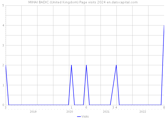 MIHAI BADIC (United Kingdom) Page visits 2024 