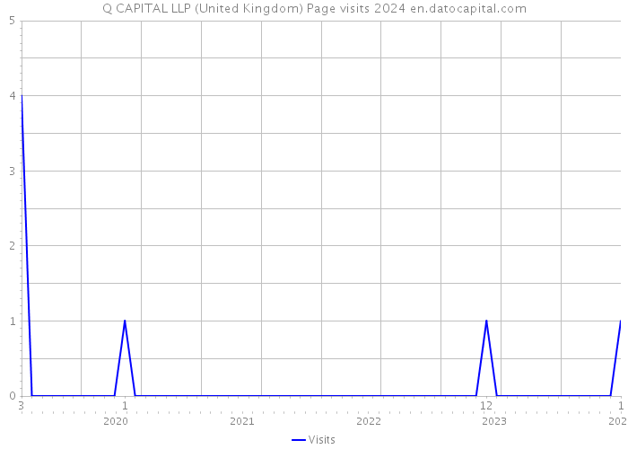 Q CAPITAL LLP (United Kingdom) Page visits 2024 