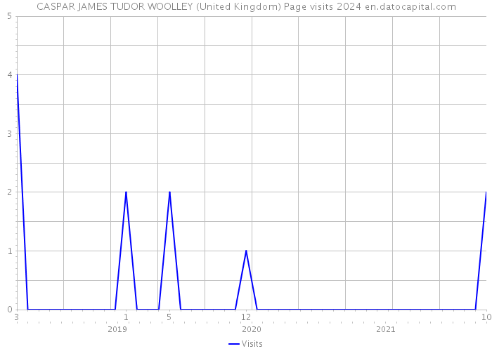 CASPAR JAMES TUDOR WOOLLEY (United Kingdom) Page visits 2024 