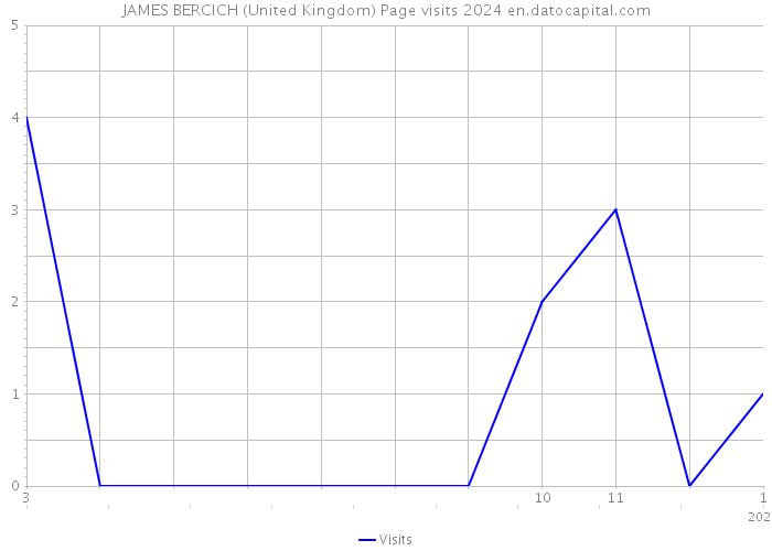 JAMES BERCICH (United Kingdom) Page visits 2024 