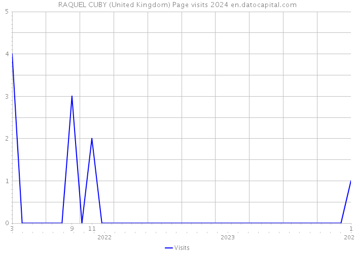 RAQUEL CUBY (United Kingdom) Page visits 2024 