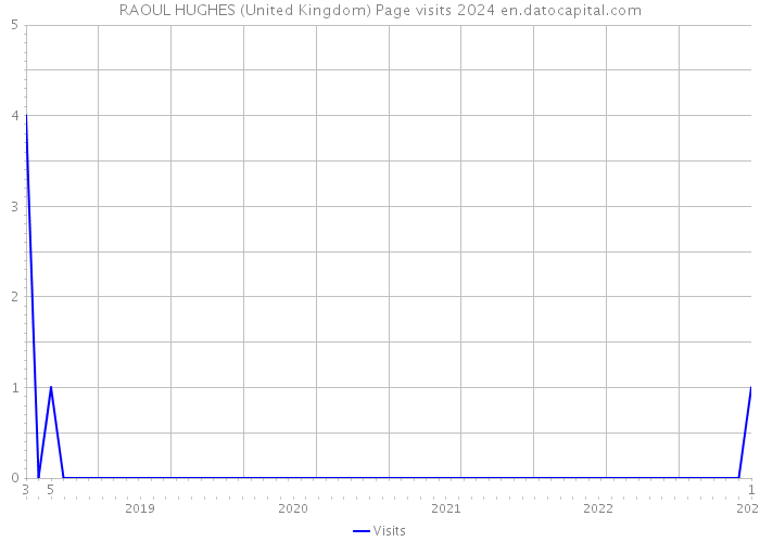 RAOUL HUGHES (United Kingdom) Page visits 2024 