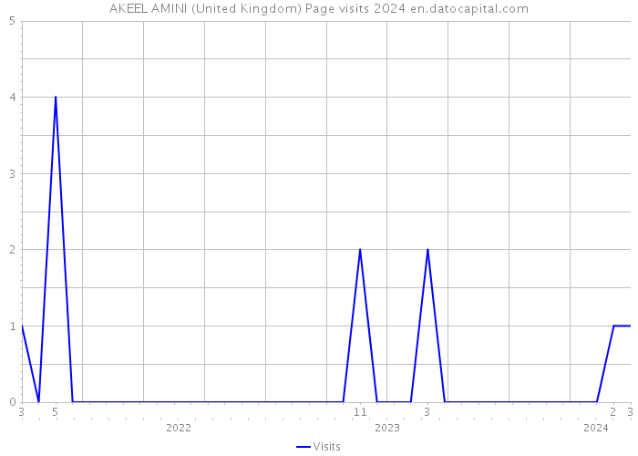 AKEEL AMINI (United Kingdom) Page visits 2024 
