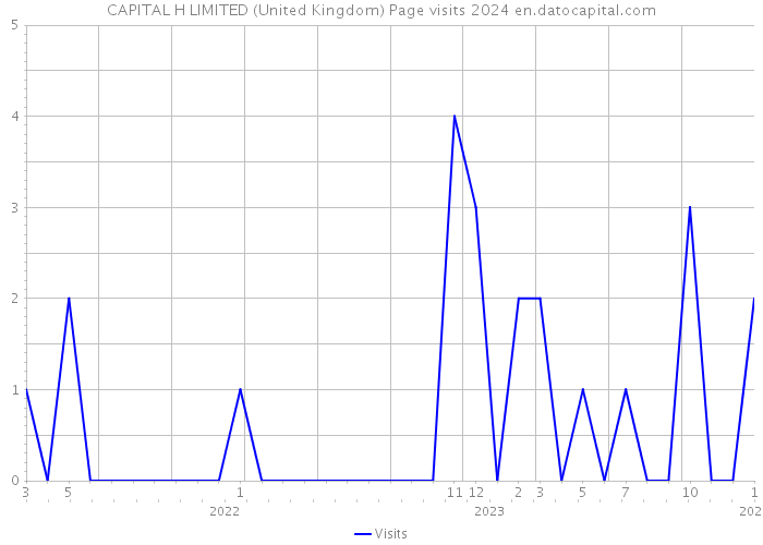 CAPITAL H LIMITED (United Kingdom) Page visits 2024 