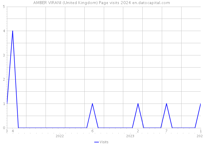 AMBER VIRANI (United Kingdom) Page visits 2024 