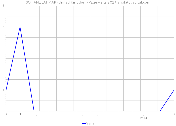 SOFIANE LAHMAR (United Kingdom) Page visits 2024 