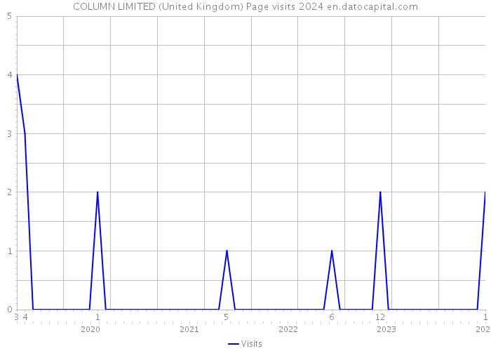 COLUMN LIMITED (United Kingdom) Page visits 2024 