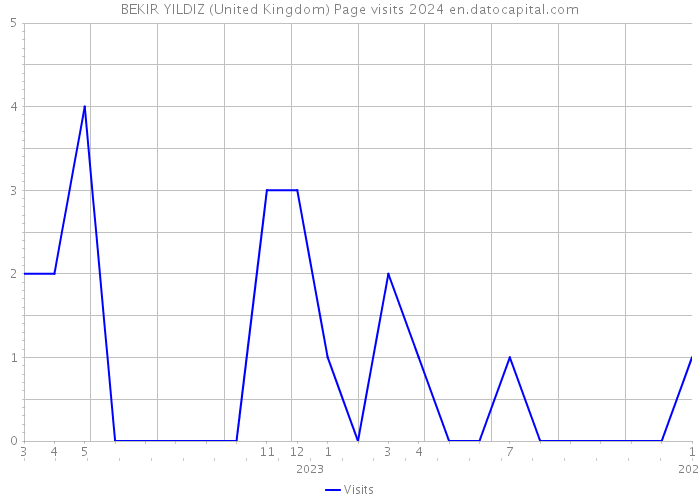 BEKIR YILDIZ (United Kingdom) Page visits 2024 